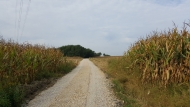 20180914_093617